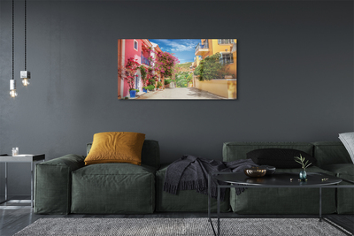 Quadro in vetro Grecia fiori edifici top