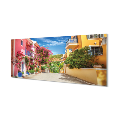 Quadro in vetro Grecia fiori edifici top