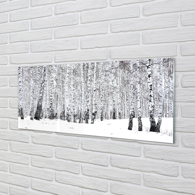 Quadro vetro Alberi betulle invernali