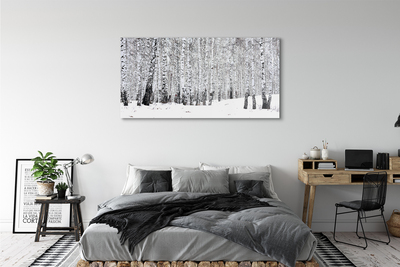 Quadro vetro Alberi betulle invernali