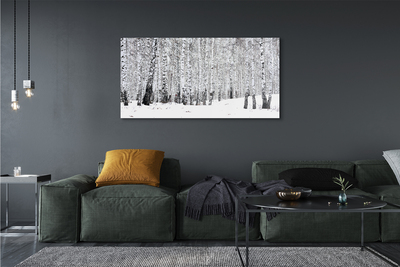 Quadro vetro Alberi betulle invernali