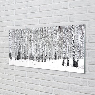 Quadro vetro Alberi betulle invernali