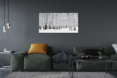 Quadro vetro Alberi betulle invernali