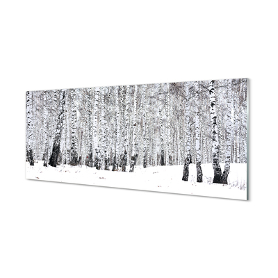 Quadro vetro Alberi betulle invernali