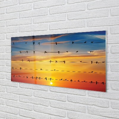 Quadro su vetro Uccelli al tramonto sulle corde