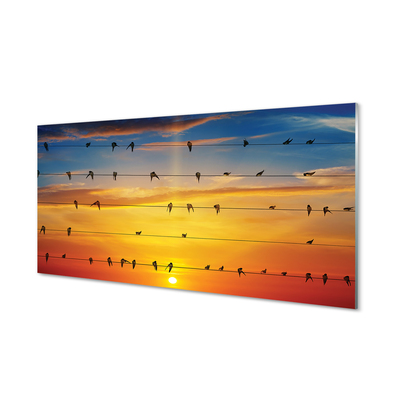 Quadro su vetro Uccelli al tramonto sulle corde