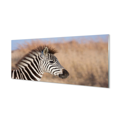 Quadro in vetro Zebra