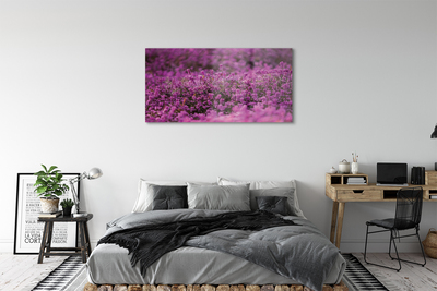 Quadro in vetro Campo di heather