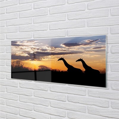 Quadro su vetro Giraffe alberi nuvole