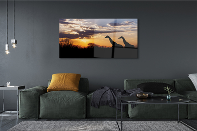 Quadro su vetro Giraffe alberi nuvole