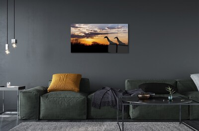 Quadro su vetro Giraffe alberi nuvole