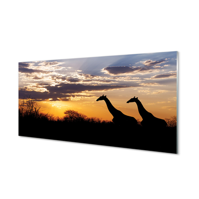 Quadro su vetro Giraffe alberi nuvole