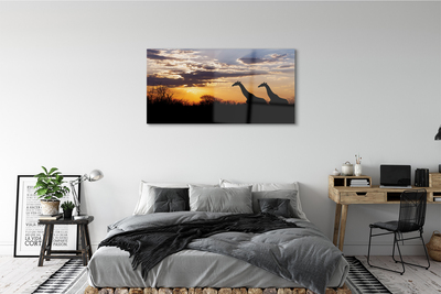 Quadro su vetro Giraffe alberi nuvole