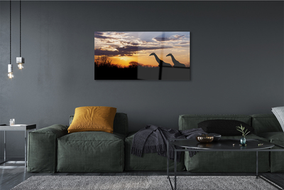 Quadro su vetro Giraffe alberi nuvole