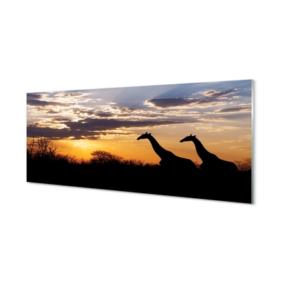 Quadro su vetro Giraffe alberi nuvole