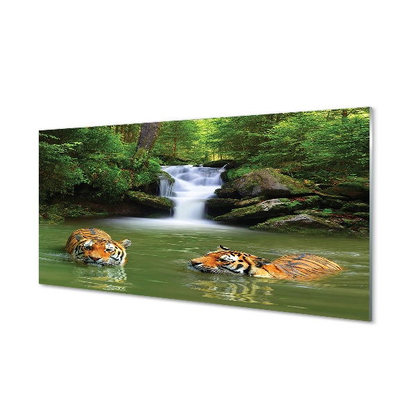 Quadro di vetro Tigri delle cascate