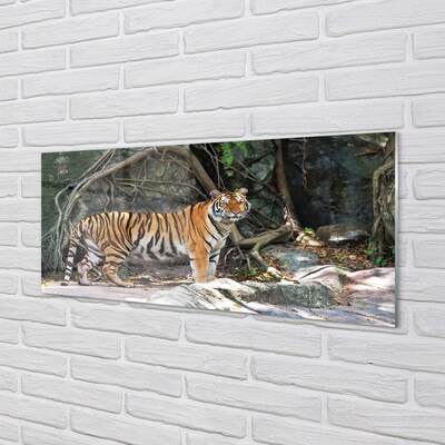 Quadro su vetro Tigre della giungla