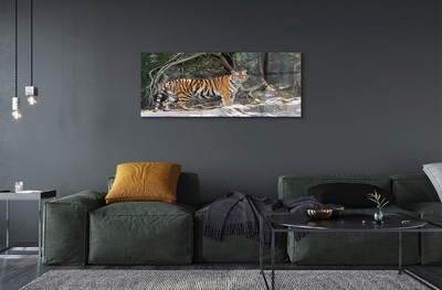 Quadro su vetro Tigre della giungla