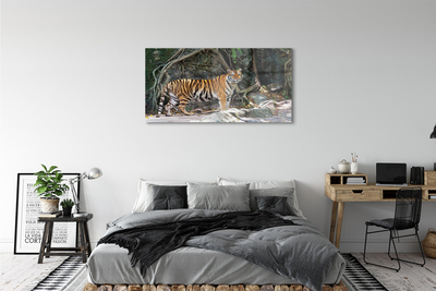 Quadro su vetro Tigre della giungla