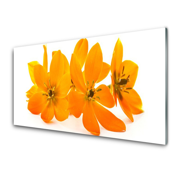 Quadro in vetro Pianta di fiori d'arancio