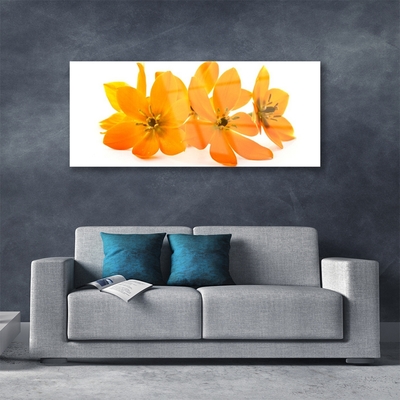 Quadro in vetro Pianta di fiori d'arancio