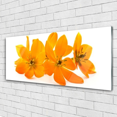 Quadro in vetro Pianta di fiori d'arancio