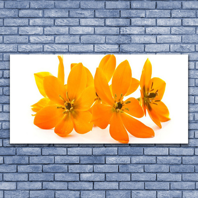 Quadro in vetro Pianta di fiori d'arancio