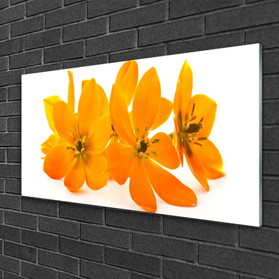 Quadro in vetro Pianta di fiori d'arancio