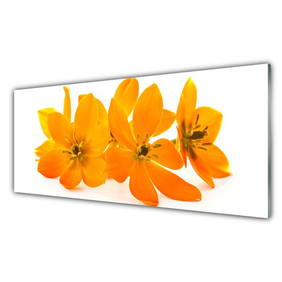 Quadro in vetro Pianta di fiori d'arancio