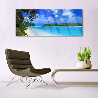 Quadro in vetro Spiaggia Palme Mare