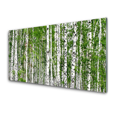 Quadro vetro Bosco di betulle Alberi Natura