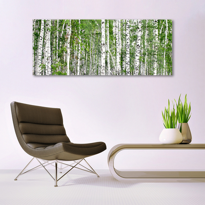 Quadro vetro Bosco di betulle Alberi Natura