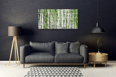 Quadro vetro Bosco di betulle Alberi Natura