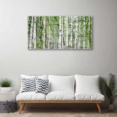 Quadro vetro Bosco di betulle Alberi Natura