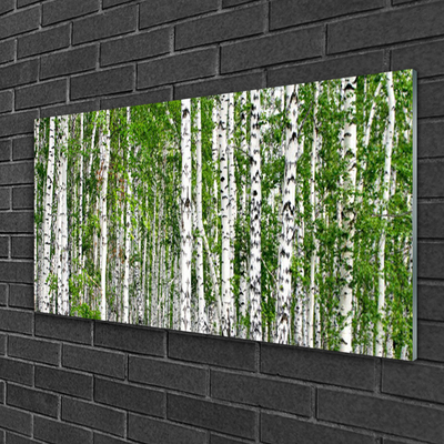 Quadro vetro Bosco di betulle Alberi Natura