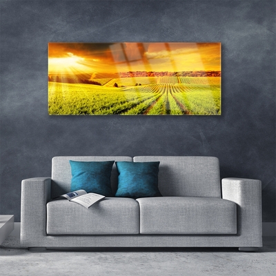 Quadro di vetro Campo Paesaggio al tramonto