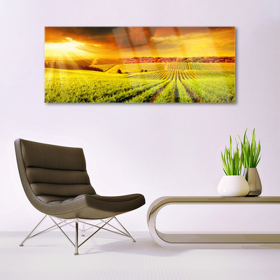 Quadro di vetro Campo Paesaggio al tramonto