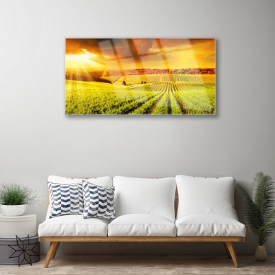 Quadro di vetro Campo Paesaggio al tramonto