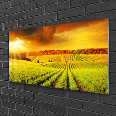 Quadro di vetro Campo Paesaggio al tramonto