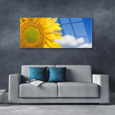 Quadro vetro Girasole Cielo Nuvole