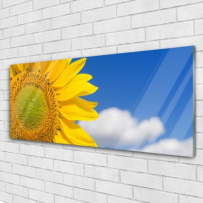 Quadro vetro Girasole Cielo Nuvole