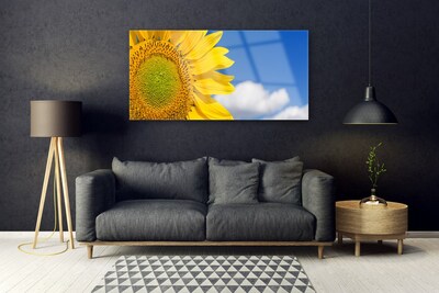 Quadro vetro Girasole Cielo Nuvole