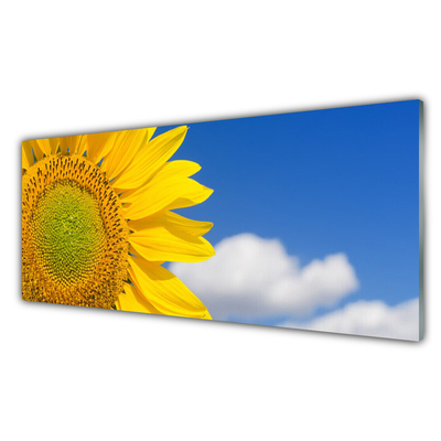 Quadro vetro Girasole Cielo Nuvole