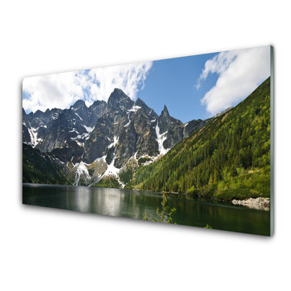 Quadro di vetro Paesaggio forestale del lago di montagna