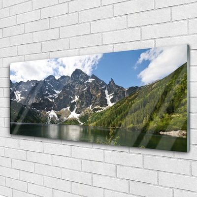 Quadro di vetro Paesaggio forestale del lago di montagna