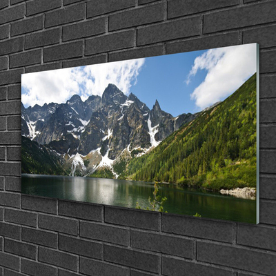 Quadro di vetro Paesaggio forestale del lago di montagna