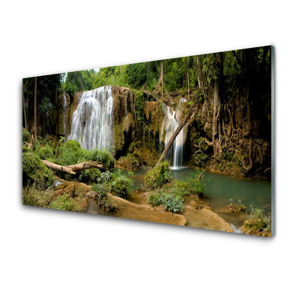 Quadro in vetro Cascata Fiume Foresta Natura