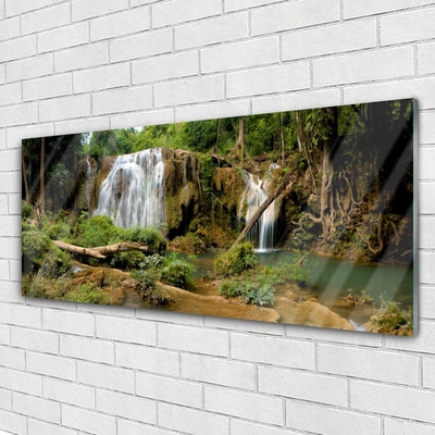 Quadro in vetro Cascata Fiume Foresta Natura