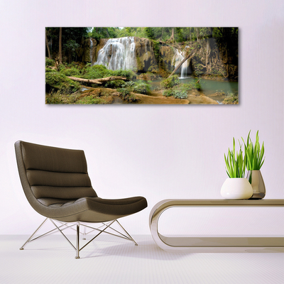 Quadro in vetro Cascata Fiume Foresta Natura