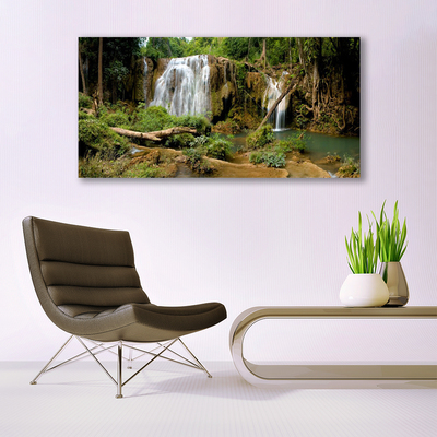 Quadro in vetro Cascata Fiume Foresta Natura